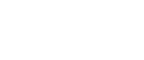 Dynamox logo