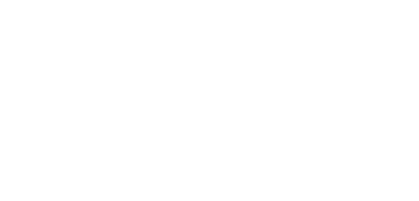 Logo DYNAMOX