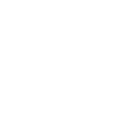 lideres tecnicos icon