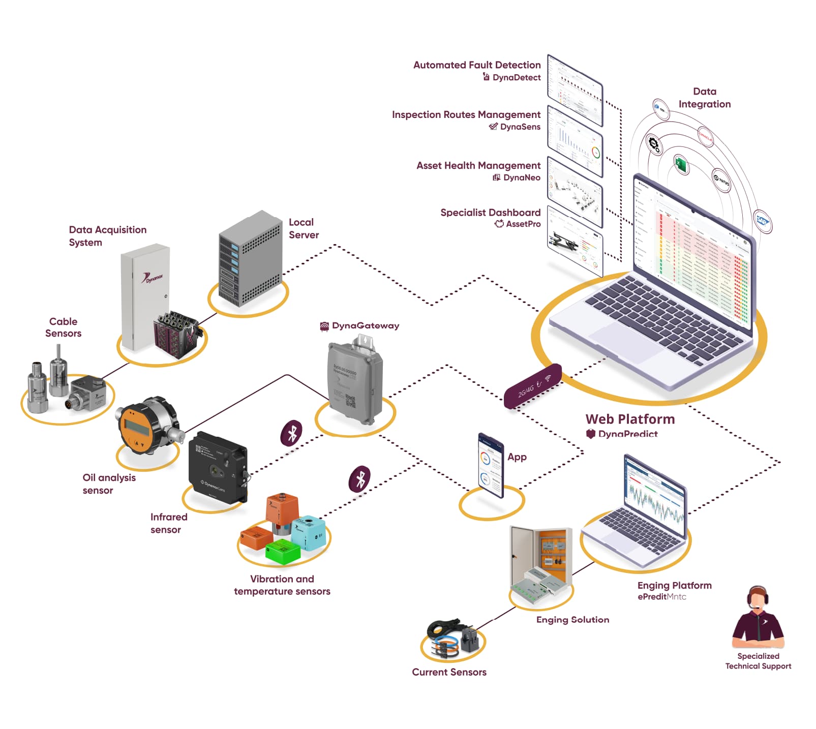 solução completa dynamox