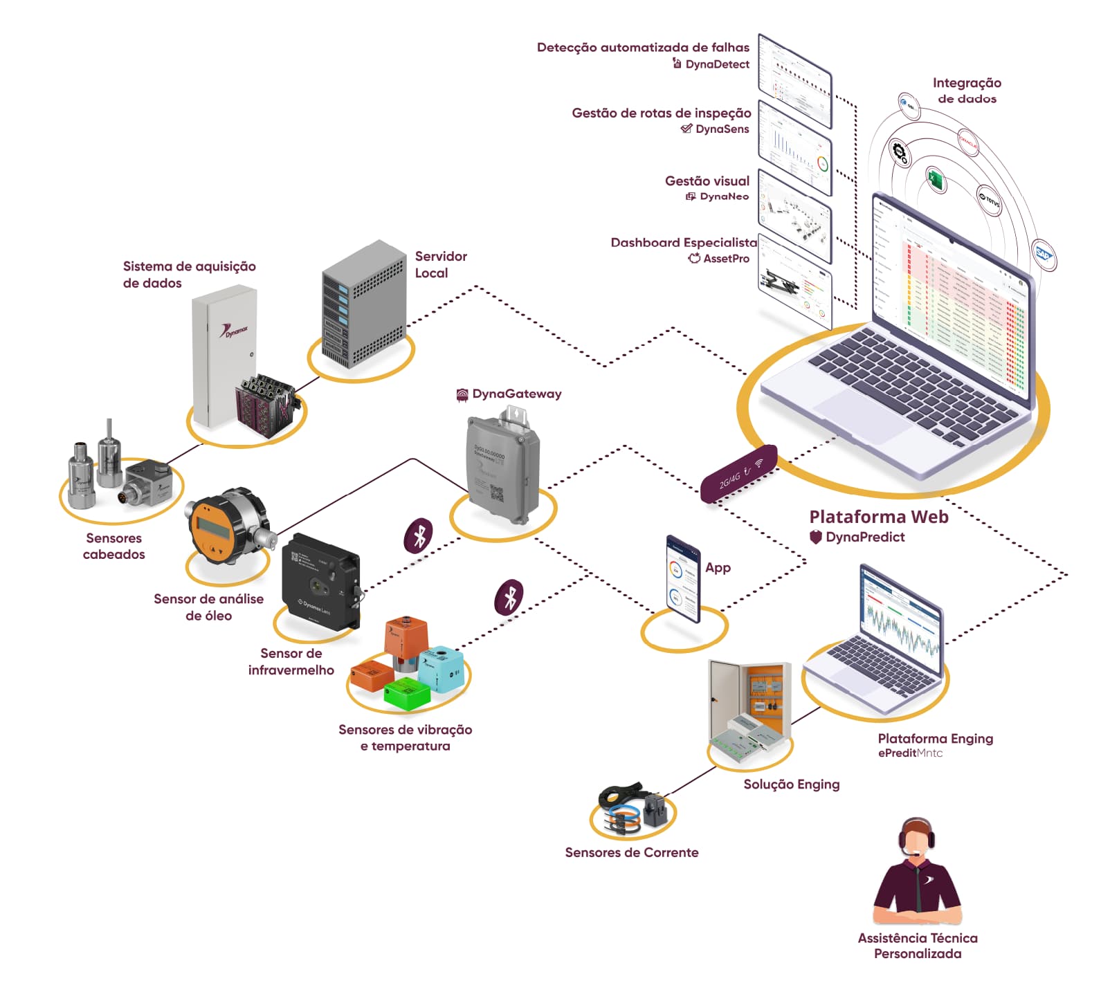 solução completa dynamox