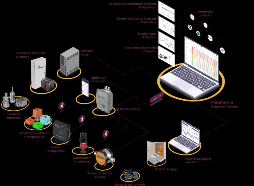 Imagem do ecossistema dynamox